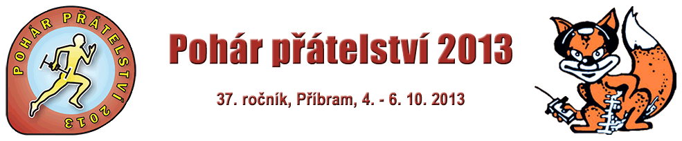 Pohár přátelství 2013